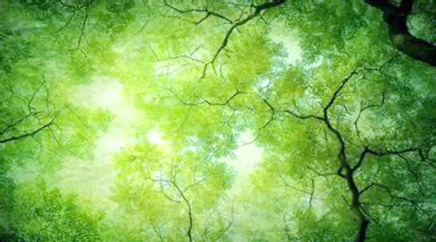 五险一金对比六险两金,七险一金比五险一金好多少