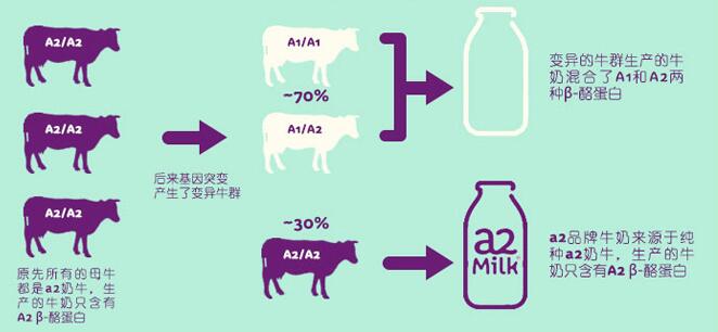 为什么澳洲的奶粉比国版的便宜,澳洲奶粉好还是俄罗斯奶粉好
