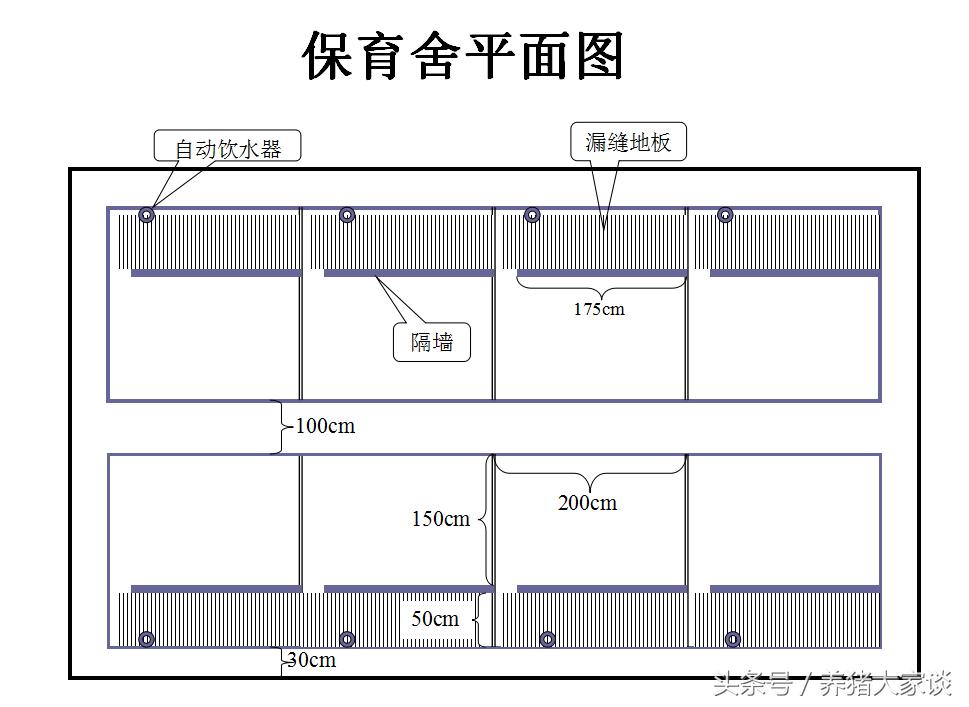现代养猪的简易猪舍建造,自繁自养猪舍建设
