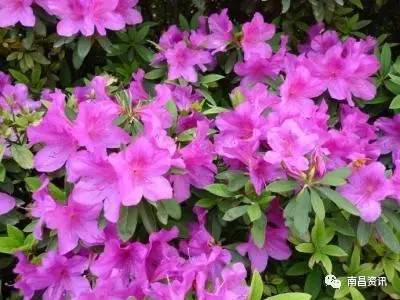 南昌出发最便宜的飞机票,南昌出发到哪里的机票最便宜