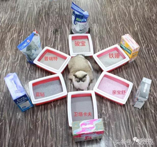 膨润土混合猫砂推荐排行榜,15-25的膨润土猫砂测评推荐