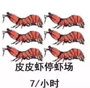 带你去找皮皮虾,皮皮虾你爱去哪