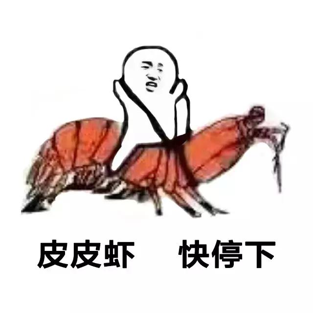 带你去找皮皮虾,皮皮虾你爱去哪
