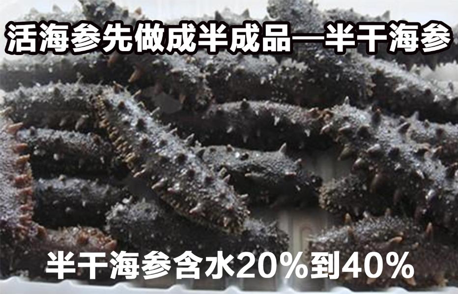 买海参干的好还是即食海参好,为什么即食海参比淡干海参便宜