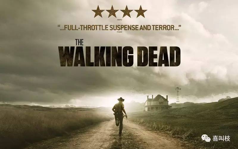 千万别看《行尸走肉》!一个老司机的忠告(强烈推荐)