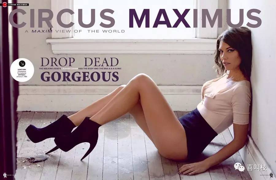 千万别看《行尸走肉》!一个老司机的忠告(强烈推荐)