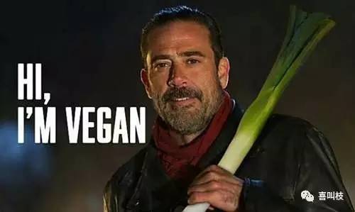 千万别看《行尸走肉》!一个老司机的忠告(强烈推荐)