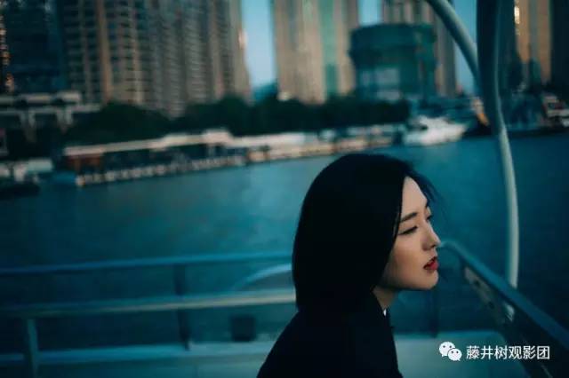 爱乐之城cityofstars奥斯卡,终于等到年度最受期待影片