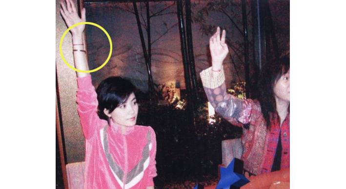 刘嘉玲佩戴的翡翠首饰原来这么美,刘嘉玲戴的宝格丽项链是哪一款