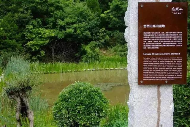 推荐西安周边一日游的绝佳去处,西安适合周末全家游玩的地方