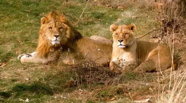 推荐西安周边一日游的绝佳去处,西安适合周末全家游玩的地方
