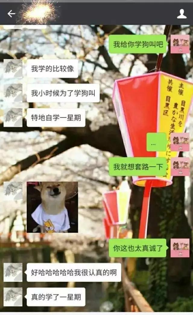 自古套路得人心懂我的人,自古套路得人心唯有真情