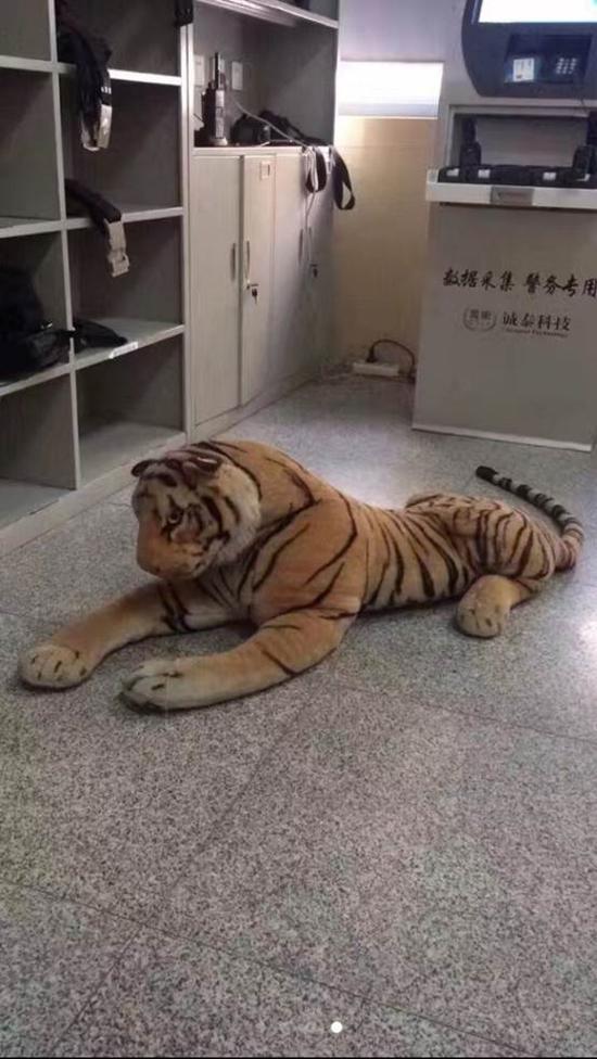 初恋情人为了所谓的爱抛弃婚姻,初恋癌症男子去照顾