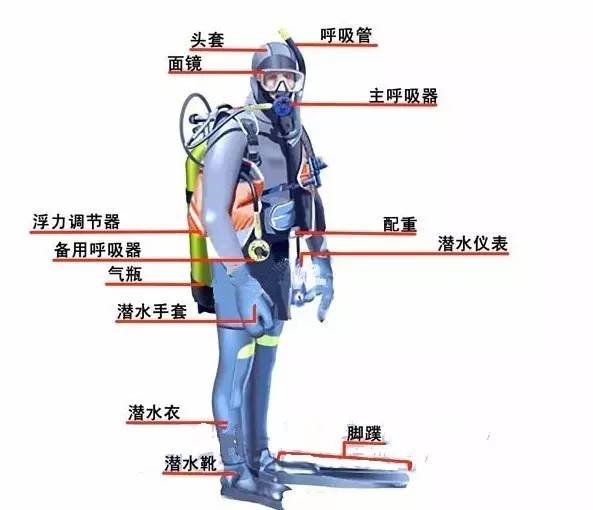 泰国｜涛岛：在海上漂了一年，我终于沉下去了