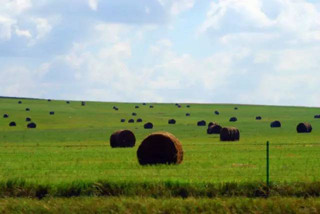 五大行为训练,五大行动的主要内容是什么
