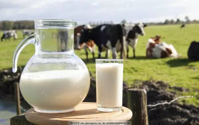 五大行为训练,五大行动的主要内容是什么