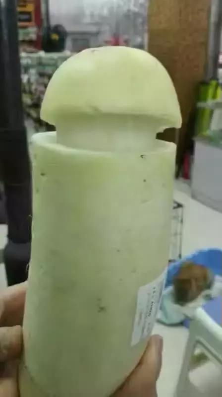 用白萝卜养红虫可以吗,土豆萝卜养红虫