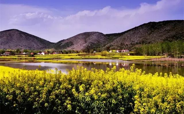 2018汉中油菜花旅游攻略,2024汉中油菜花自驾游攻略