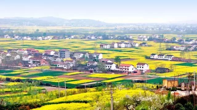 2018汉中油菜花旅游攻略,2024汉中油菜花自驾游攻略