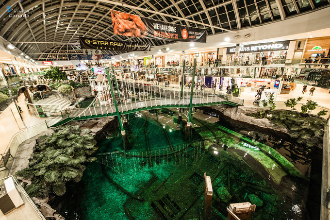 买货激动现场的视频,买手机激动时刻