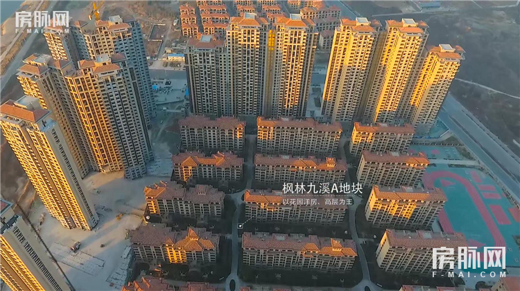 閱夌編鏋灄鍥剧墖,閱夌編鏋灄鍥剧墖澶у叏