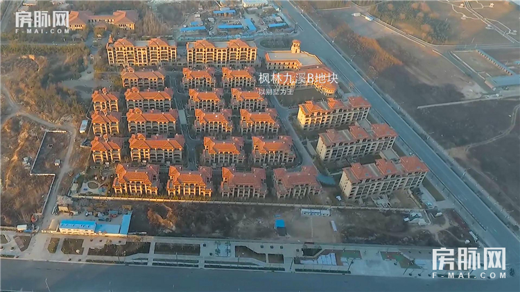 閱夌編鏋灄鍥剧墖,閱夌編鏋灄鍥剧墖澶у叏