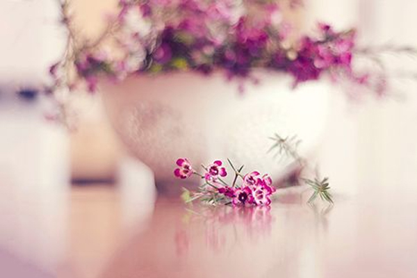 与龙属相相配的属相有哪些,男属相蛇和女属相龙婚配好吗