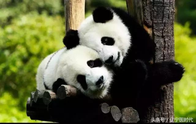 我叫辽宁,绝对不是我吹牛,今年我将让全国刮目相看!