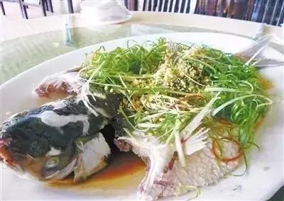 珠海走走逛逛,珠海吃喝玩乐游玩攻略