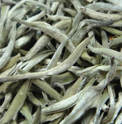 帮你冲走过年吃的所有罪恶感,快看过来