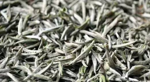 帮你冲走过年吃的所有罪恶感,快看过来