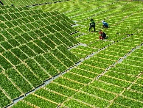 帮你冲走过年吃的所有罪恶感,快看过来