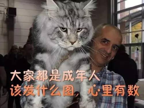 表情包斗图指南,斗图表情包指南