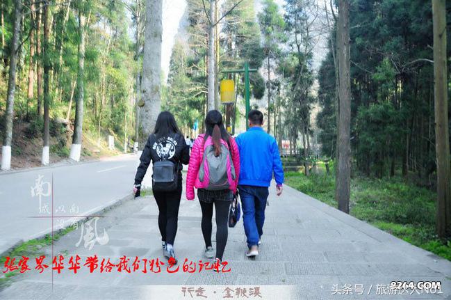 张家界国家森林公园旅游攻略,张家界品质游旅行社旅游攻略