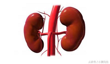 慢性肾衰竭患者选择偏方时需慎之又慎