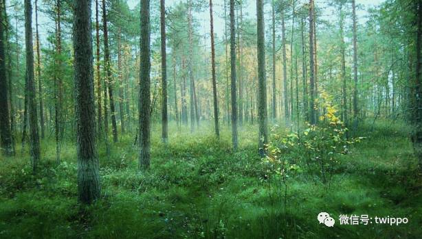 最适合春天的香水,适合春天留香较久的女性香水