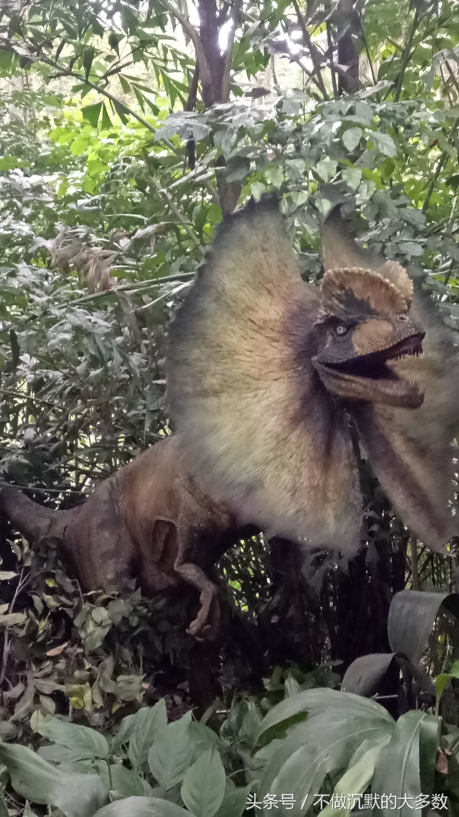 广州长隆野生动物园金蛇秘境直播,长隆野生动物园金蛇秘境害怕吗