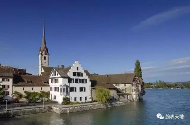 我看着你转身离去,我看见一棵树