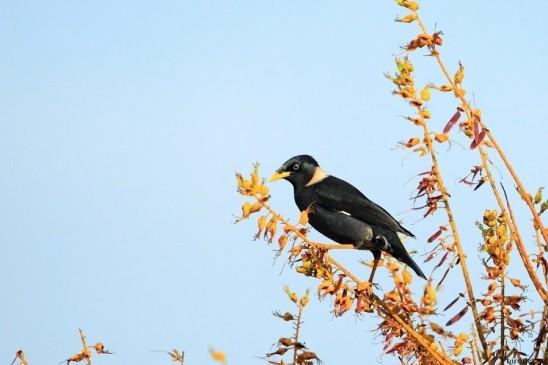 你只是一个人，因为你不会这些“撩妹”神技能