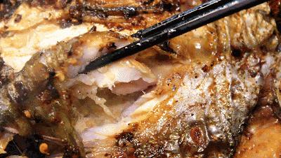 合肥有什么有名的鱼馆,合肥哪家鱼馆最好