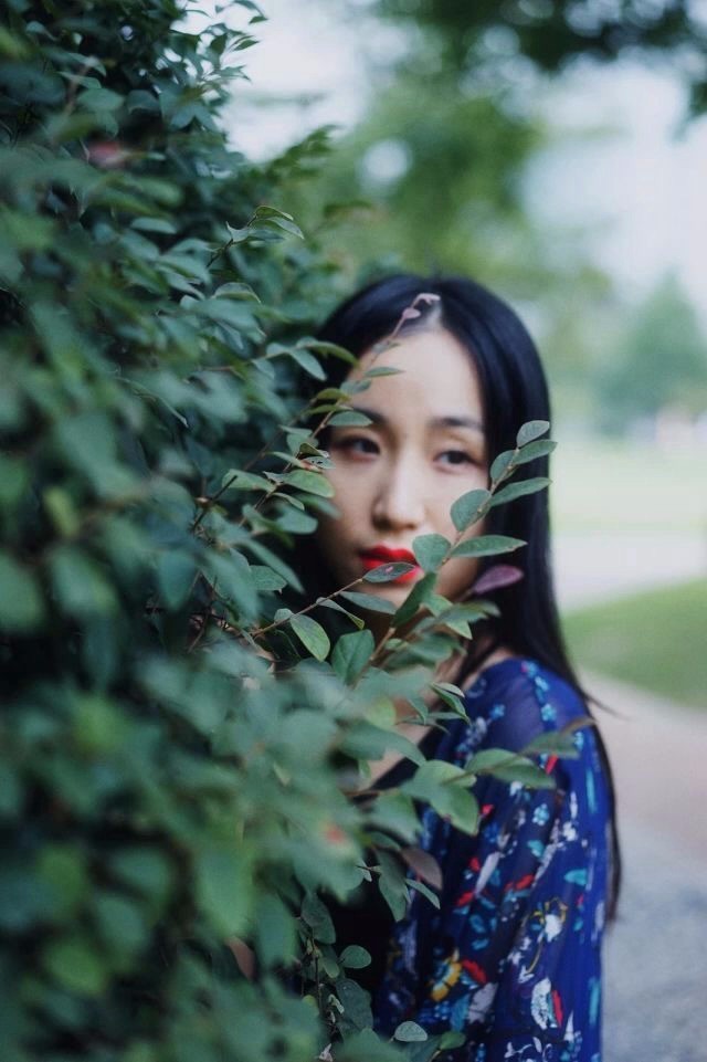 《本草》植物志之彼岸花:开一千年,落一千年,花叶不相见