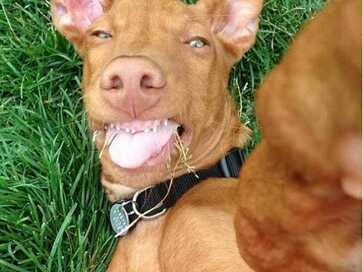 小明滚出去真人版第十集,小明滚出去第一集完整版