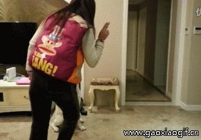 喵：天下武功，唯快不破