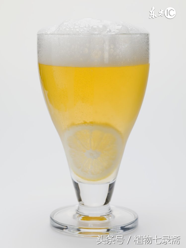 自制白醋杀虫剂家庭养花,家用室内花卉杀虫剂