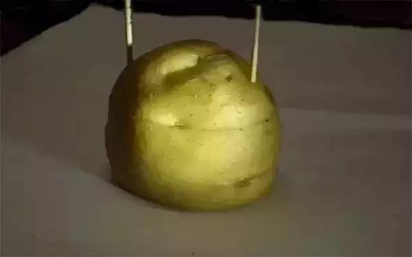 用白萝卜养红虫可以吗,土豆萝卜养红虫