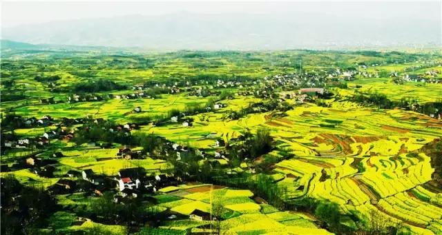 2018汉中油菜花旅游攻略,2024汉中油菜花自驾游攻略