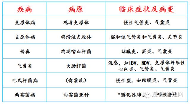 常见呼吸道传染病及预防,常见呼吸道疾病用什么药