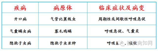 常见呼吸道传染病及预防,常见呼吸道疾病用什么药