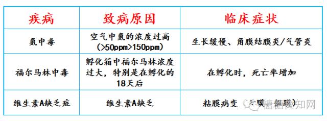 常见呼吸道传染病及预防,常见呼吸道疾病用什么药