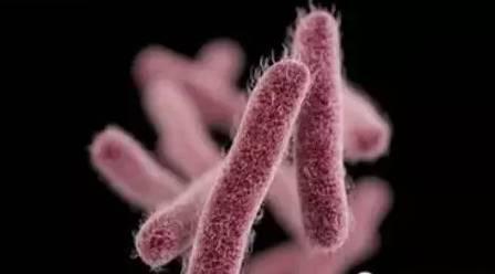 韩国面膜黑榜,韩国食品黑榜